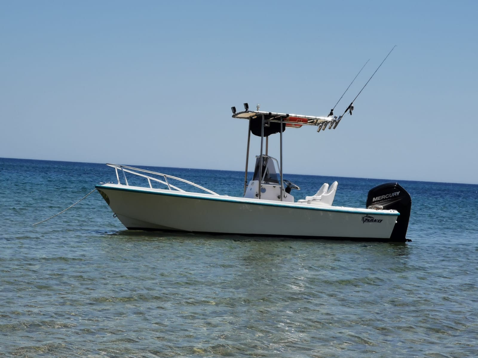 <<< VENDUTO >>> MAKO 171 + MERCURY 115 HP (2016)<br><a href=dettaglio.aspx?Id=69 >VAI ALLA SCHEDA</a>